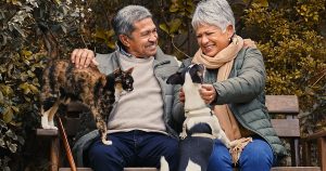 Senior couple sitting on park bench in the fall weather with their pet cat and dog